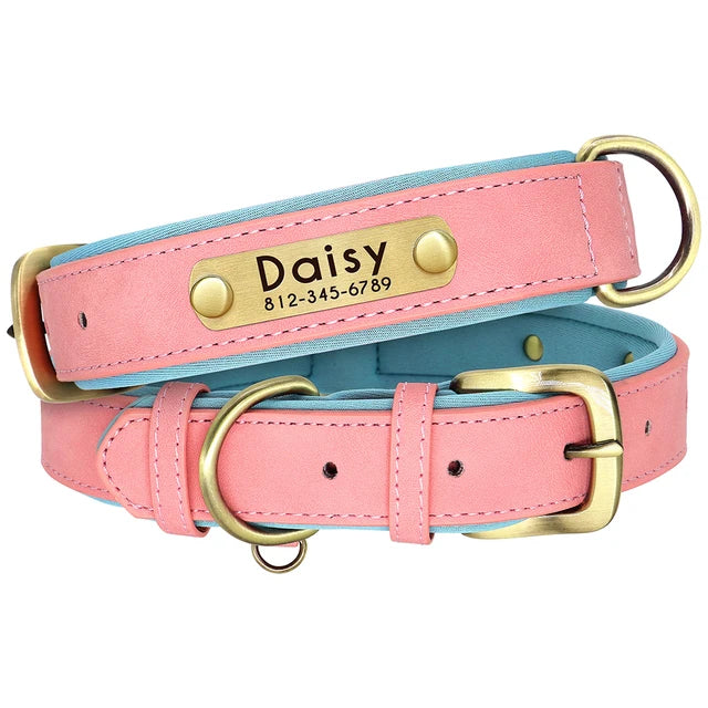 Collier personnalisable Park Dog's